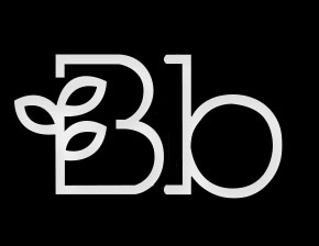 Bb Logo Kare